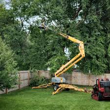 Lawn Renovation and Restoration in Cross Lanes, WV