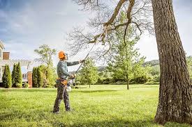 Best Emergency Tree Removal  in Cross Lanes, WV